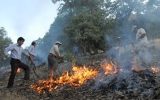 تلاش برای مهار آتش‌ در جنگل‌های ارسباران ادامه دارد